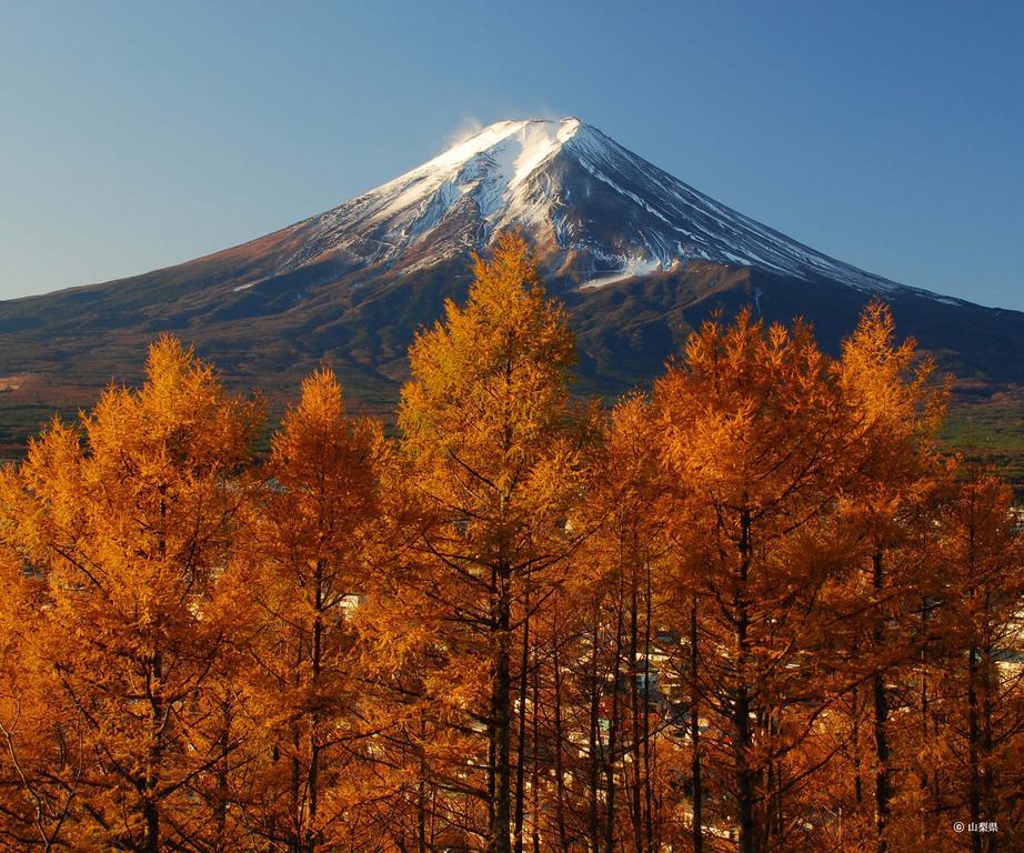 Pension Mozart 山中湖村 エクステリア 写真