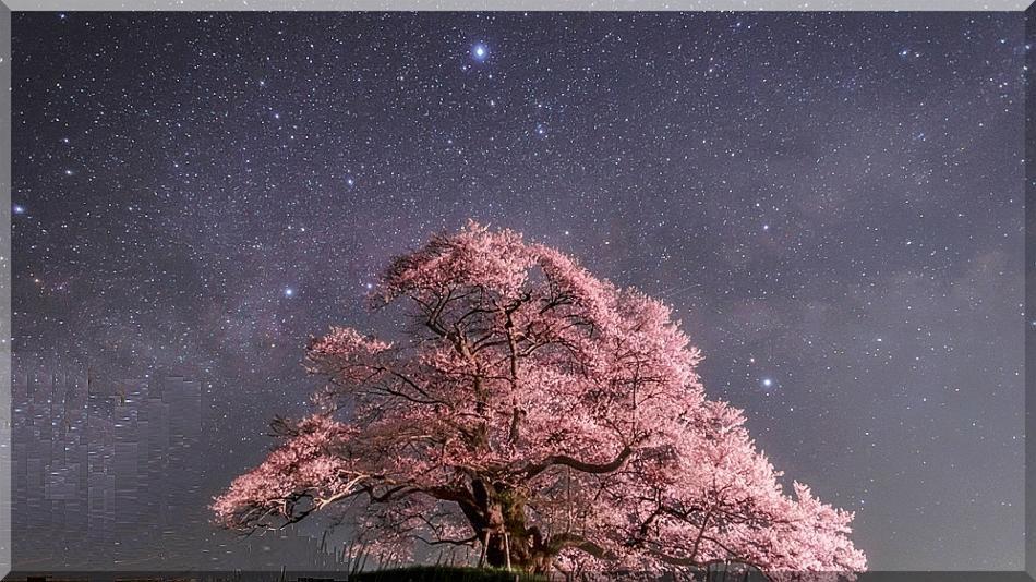 Pension Mozart 山中湖村 エクステリア 写真