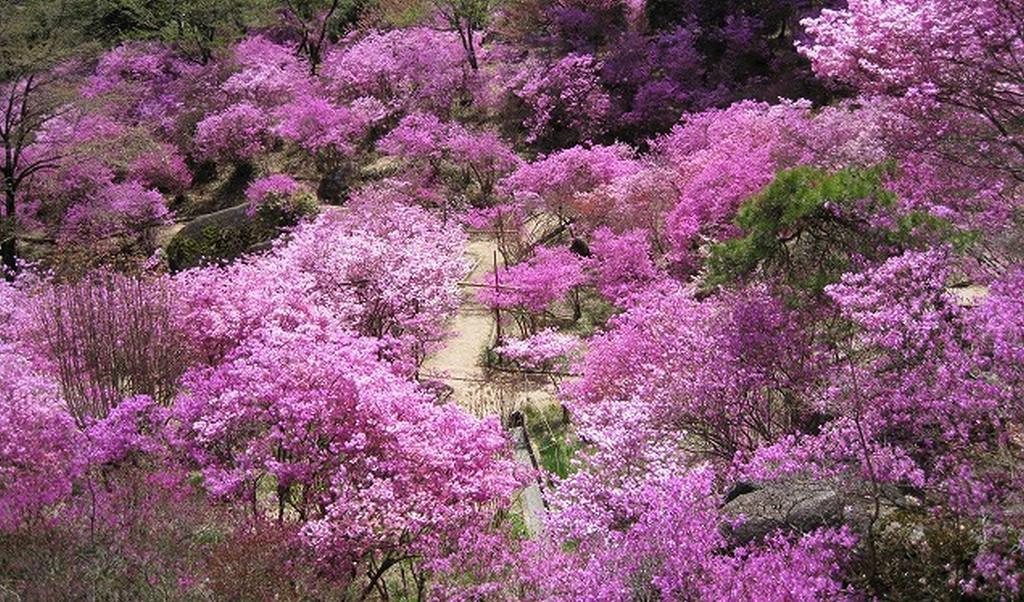 Pension Mozart 山中湖村 エクステリア 写真